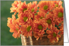Basket of Autumn Chrysanthemums Blank card