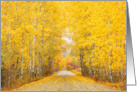 Autumn Golden Aspen Road Blank Any Occasion card