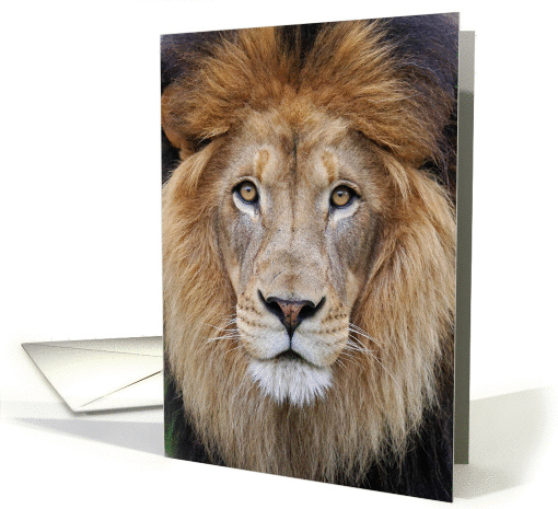 Lion King card (1010917)