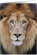 Lion King card