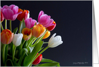 Multicolored Tulips card