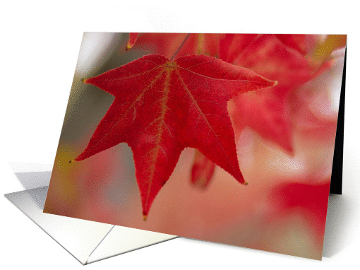 Muted Fall Leaves Blank Inside card (1214610)