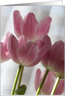 Pink Tulips Birthday card