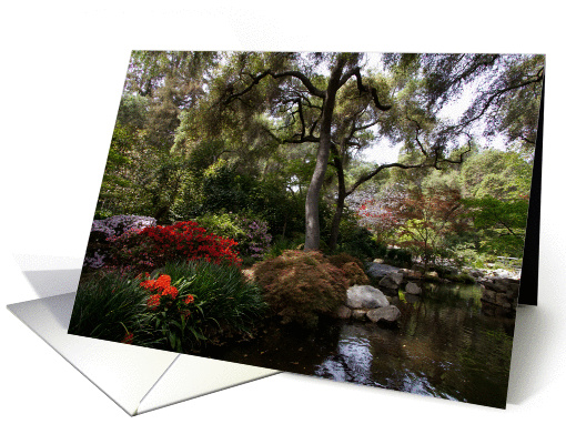 Lush Garden card (1322992)