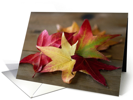 Colorful Fall Leaves - Blank Inside card (1335620)