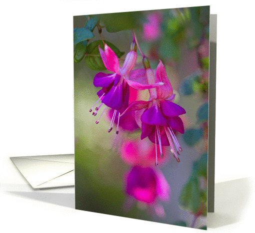 Muted Fuchsia Flowers - Blank Inside card (1337962)