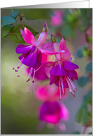 Muted Fuchsia Flowers - Blank Inside card