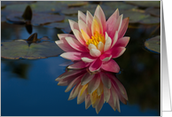 Water Lily on Blue- Blank Inside card