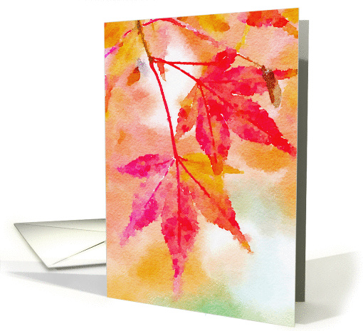 Autumn Maple Leaves Blank card (1398296)