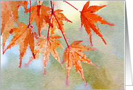 Autumn Leaves in Watercolor Blank card