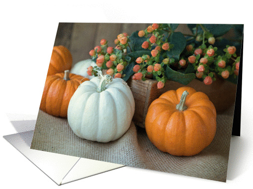 Pumpkins and Burlap Autumn Blank card (1403612)