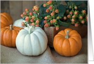 Pumpkins and Burlap Autumn Blank card