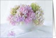 Soft Dreamy Bowl of Hydrangea Blank card