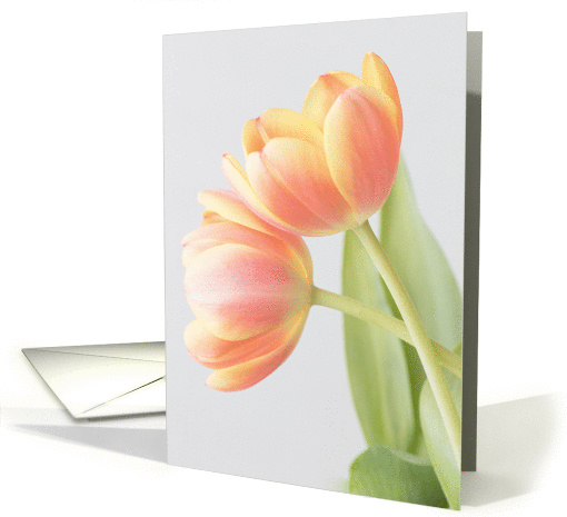 Tulip Duet Blank Inside, Any Occasion card (1416936)