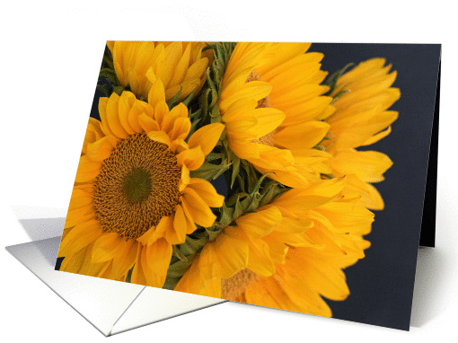 Sunflowers on Black Blank card (1416940)