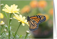 Springtime Monarch Butterfly Blank card