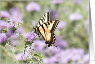 Springtime Swallowtail Blank card