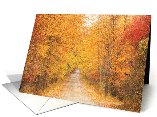Autumn Leaves Tree Lined Road Blank Any Occasion card (1644648)