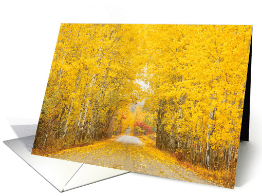 Autumn Golden Aspen Road Blank Any Occasion card (1645188)