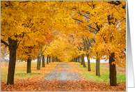 Autumn Amber Tree...