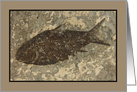 Fish Fossil Blank Any Occasion card