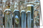 Snow-Capped Garden Gate card