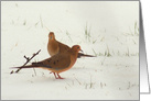 Two Doves in the Snow Any Occasion Blank card