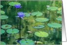 Blue Waterlily Any Occasion Blank card