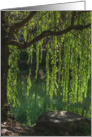 Weeping Willow Any Occasion Blank card