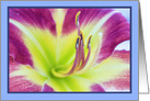 Close-up of Purple Daylily Blank Any Occasion card