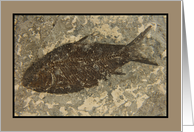 Humorous Fossilized Fish Birthday card