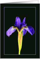 Encouragement for a Flower Lover card
