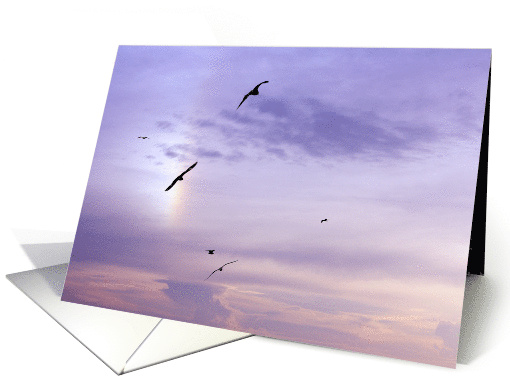 Sympathy Card -Gulls soaring into a rainbow card (1036295)