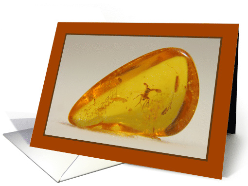 Insect Trapped in Amber Blank Any Occasion card (1077996)