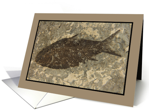 Fish Fossil Blank Any Occasion card (1077998)