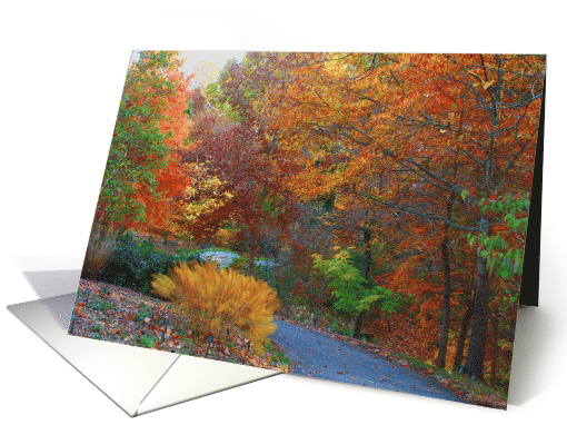 Thanksgiving Autumn Leaves card (1116730)