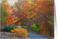 Thanksgiving Autumn Leaves card