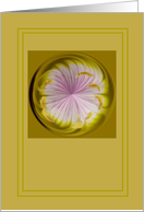 Mystic Spring Orb Blank Any Occasion card