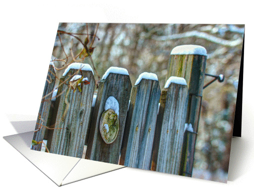 Snow-Capped Garden Gate card (1283048)