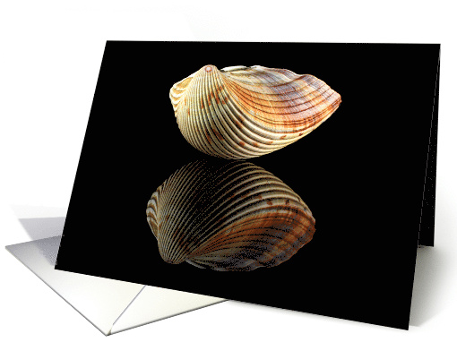 Balancing Cockle Blank Any Occasion card (1420754)