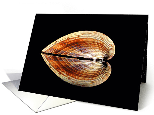 Heart Shaped Reflection Cockle Shell Blank Any Occasion card (1420756)