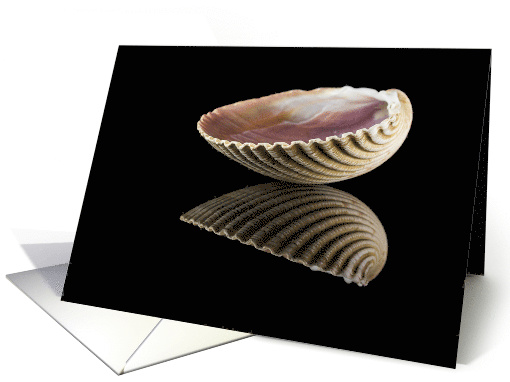 Reflected Cockle Shell Bowl Blank Any Occasion card (1420758)