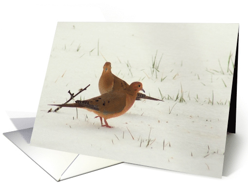 Two Doves in the Snow Any Occasion Blank card (1448044)