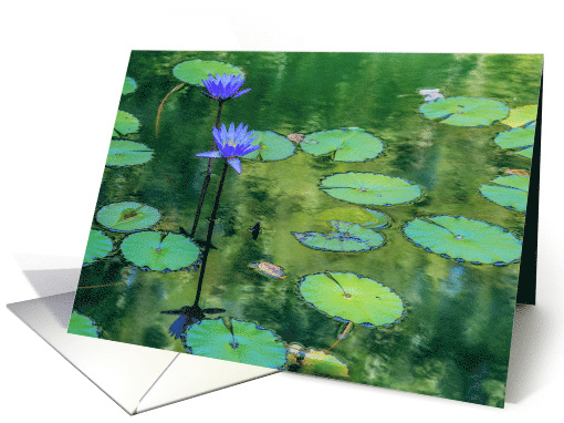 Blue Waterlily Any Occasion Blank card (1458694)