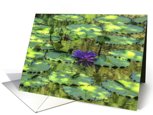 Purple Waterlily Any Occasion Blank Any Occasion card (1458700)