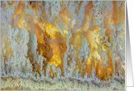 Close-up of Agate Cross Section Blank Any Occasion card