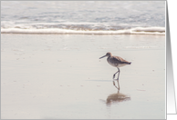 Lone Bird Walking on a Beach Blank Any Occasion card