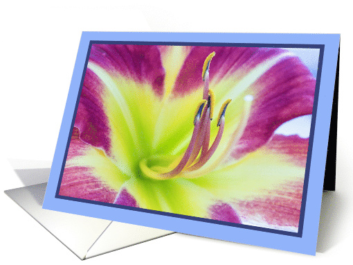 Close-up of Purple Daylily Blank Any Occasion card (1535770)