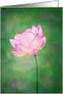 Pink Lotus Flower, Floral design for any occasion card