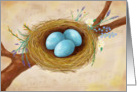 Bird Nest with Spring Flowers, Blank inside card